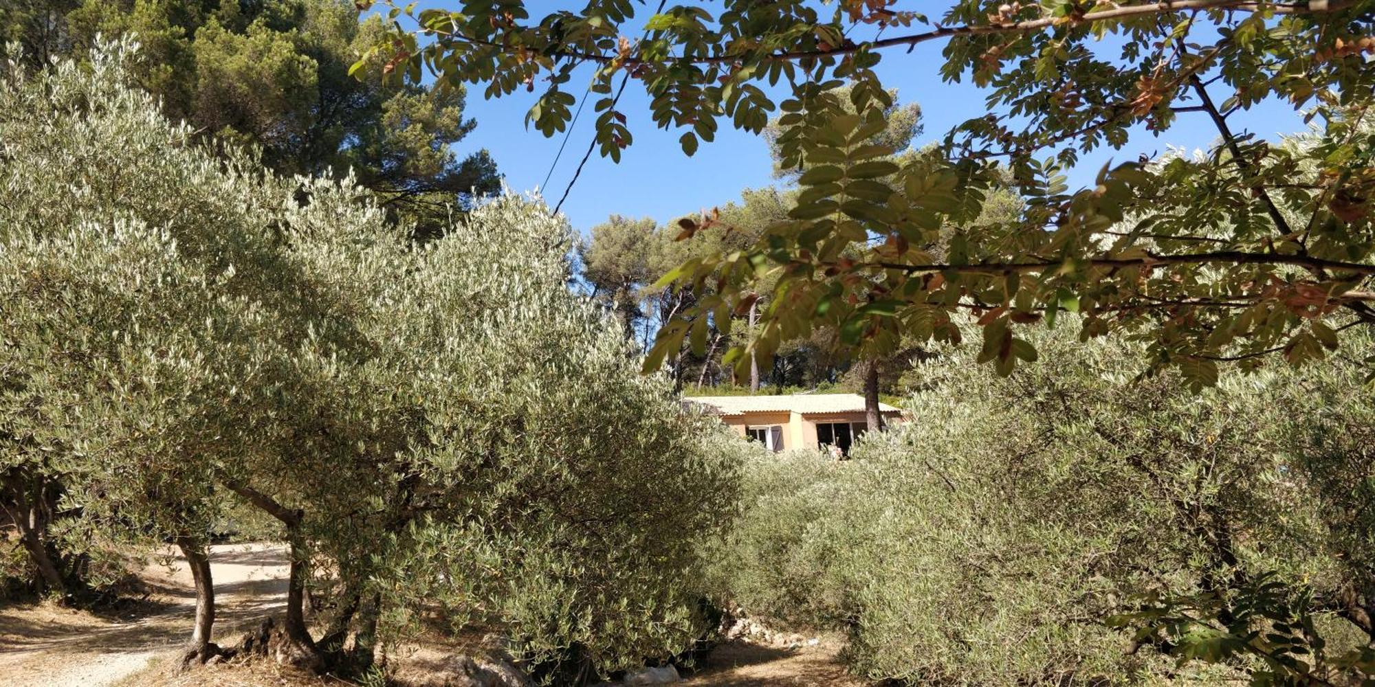 Villa CIGALONS en pleine pinède + PISCINE chauffée Auriol Esterno foto