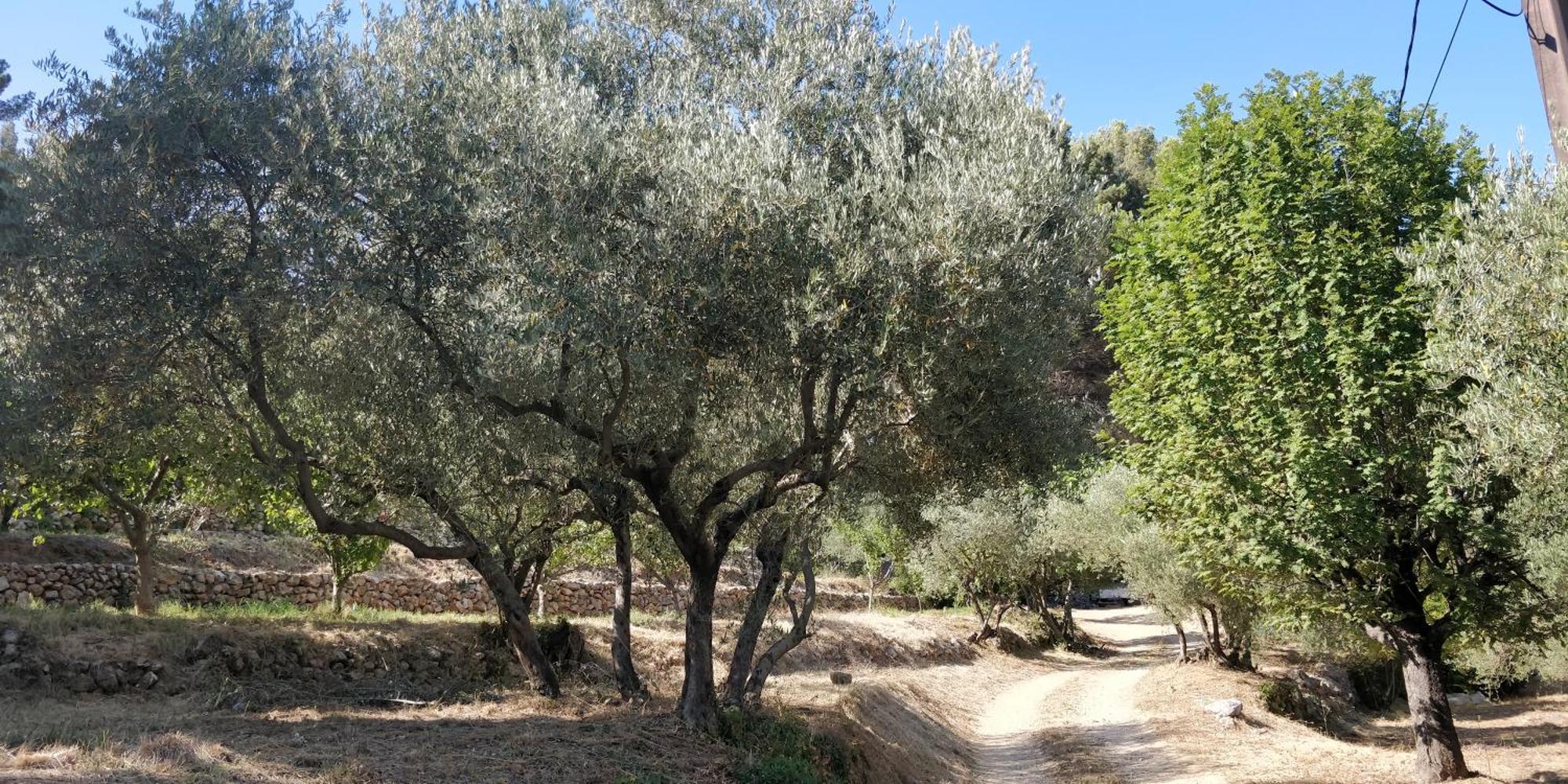 Villa CIGALONS en pleine pinède + PISCINE chauffée Auriol Esterno foto