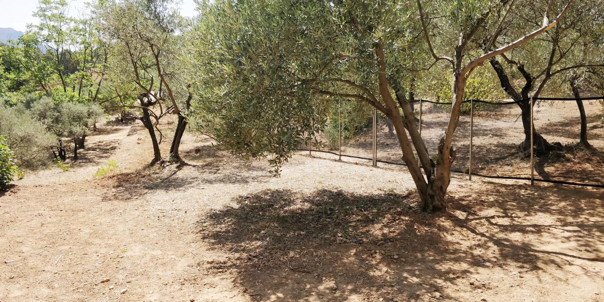 Villa CIGALONS en pleine pinède + PISCINE chauffée Auriol Esterno foto