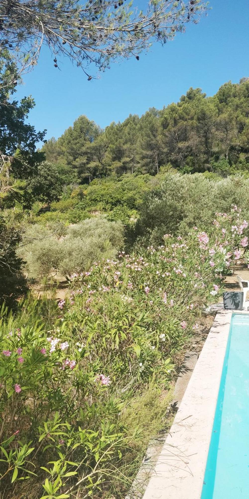 Villa CIGALONS en pleine pinède + PISCINE chauffée Auriol Esterno foto