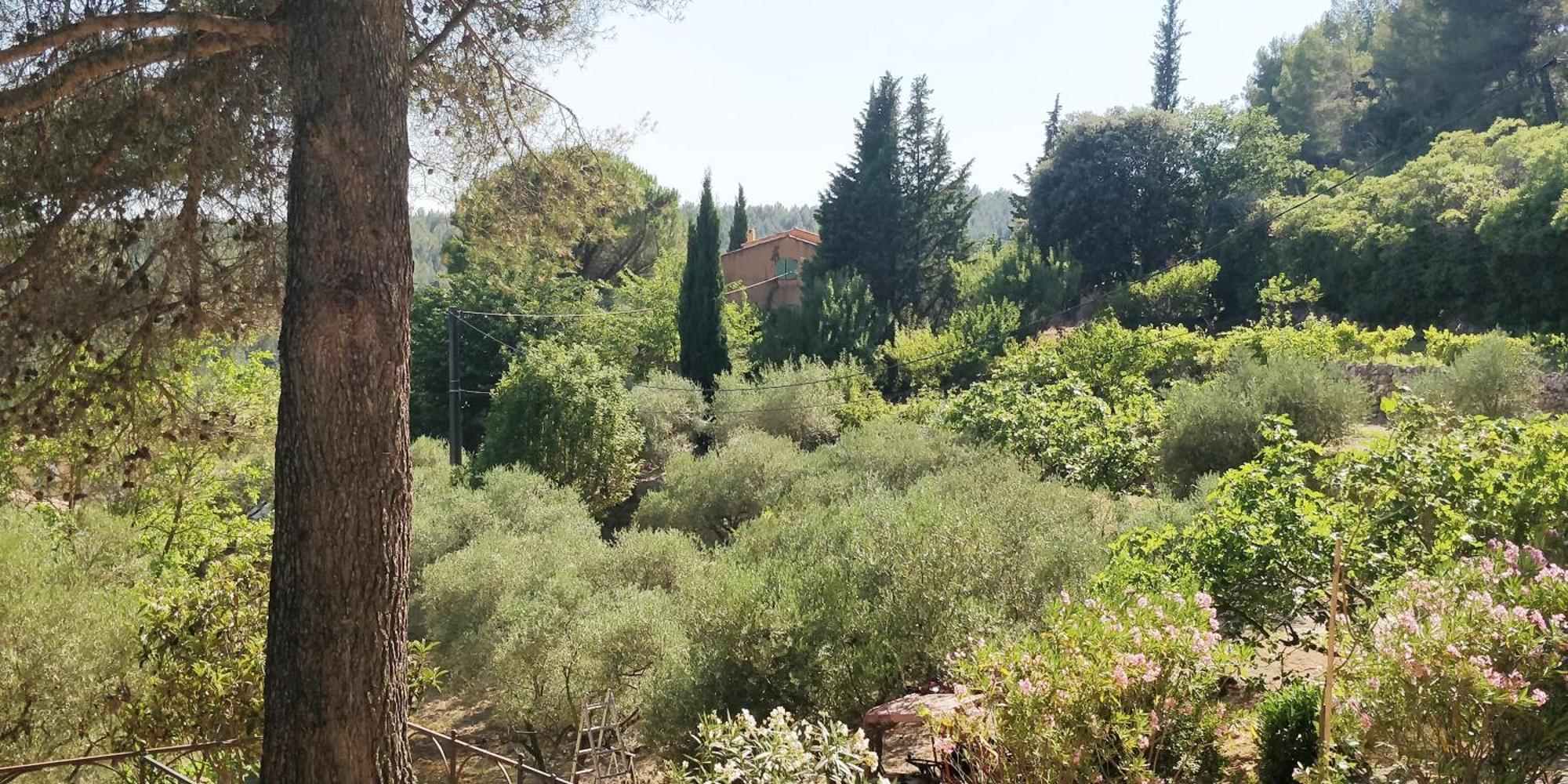 Villa CIGALONS en pleine pinède + PISCINE chauffée Auriol Esterno foto