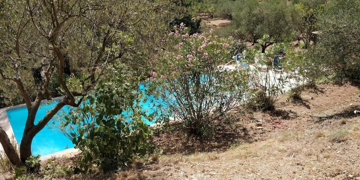 Villa CIGALONS en pleine pinède + PISCINE chauffée Auriol Esterno foto