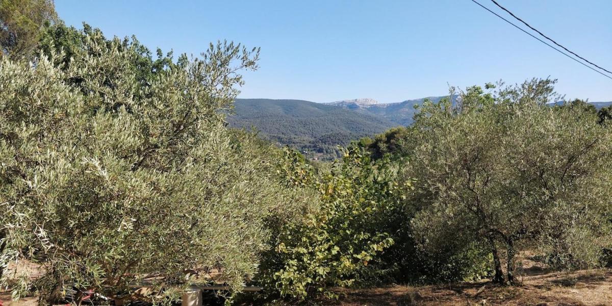 Villa CIGALONS en pleine pinède + PISCINE chauffée Auriol Esterno foto