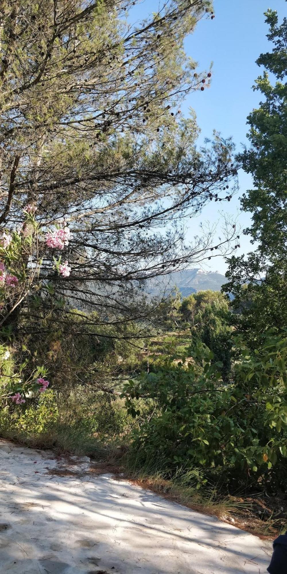 Villa CIGALONS en pleine pinède + PISCINE chauffée Auriol Esterno foto