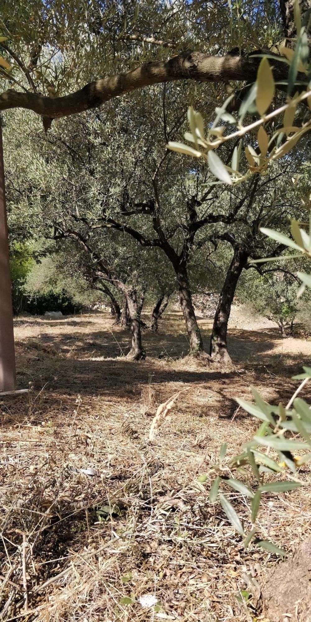 Villa CIGALONS en pleine pinède + PISCINE chauffée Auriol Esterno foto