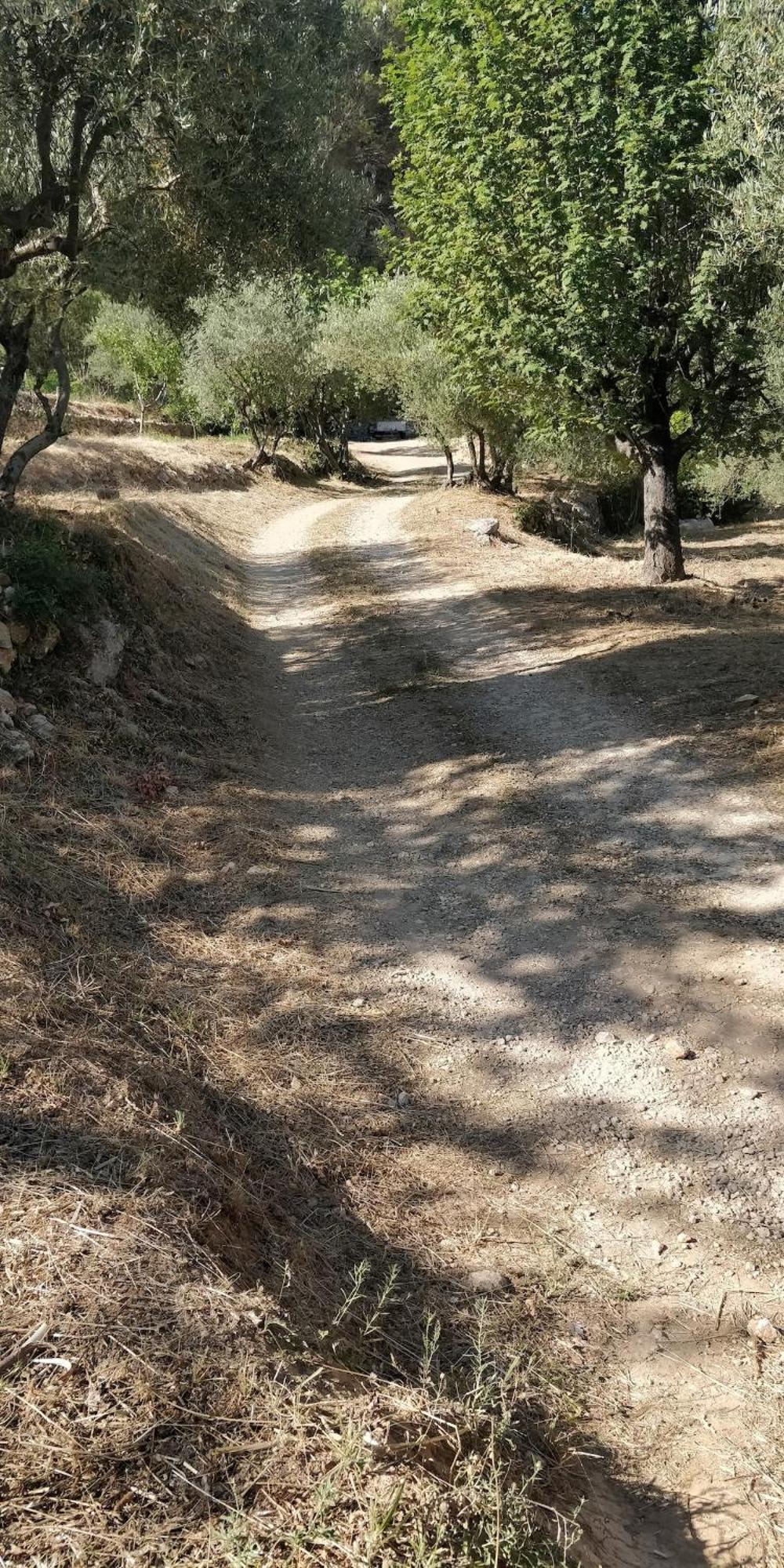 Villa CIGALONS en pleine pinède + PISCINE chauffée Auriol Esterno foto